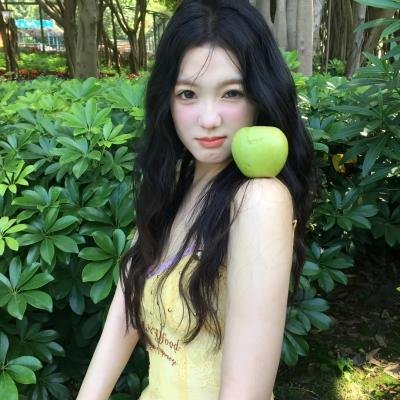 长春树 封面